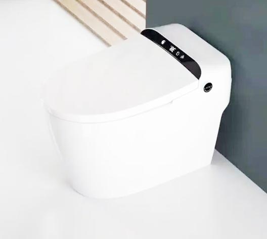 Toilette intelligente SS006