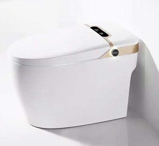 Intelligente Toilette SS009