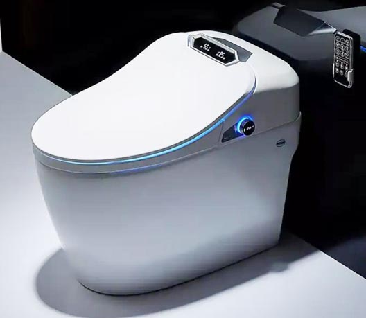 Smart toilet SS010