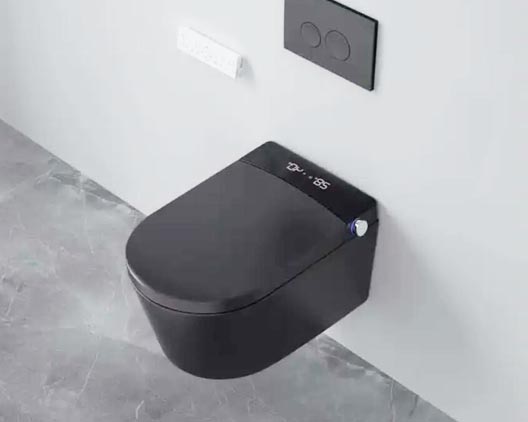 Intelligente Toilette SS014